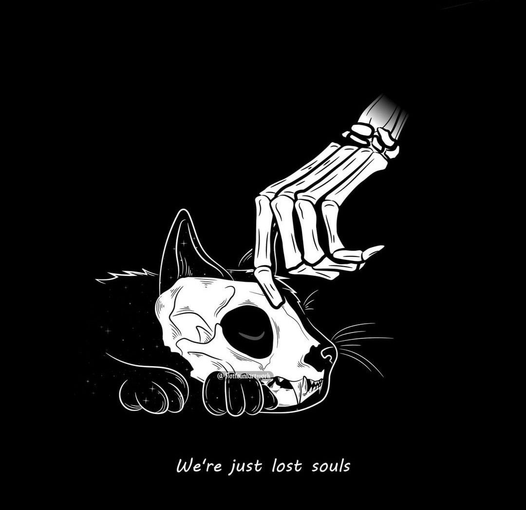 Black. (@blackdreamvibes) on Twitter photo 