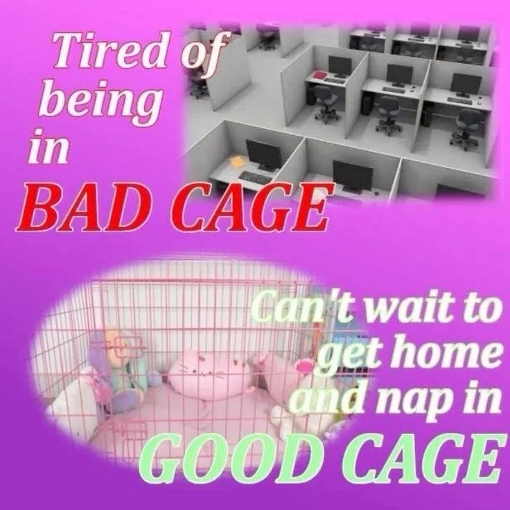 onewishangel's tweet image. 