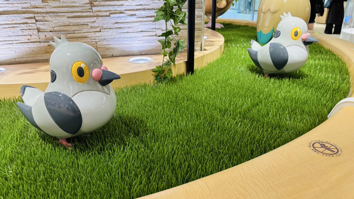 isstariff14's tweet photo. ｲｹﾌﾞｸﾛで鳥を見るなどしました https://t.co/RDZBitBqWH
