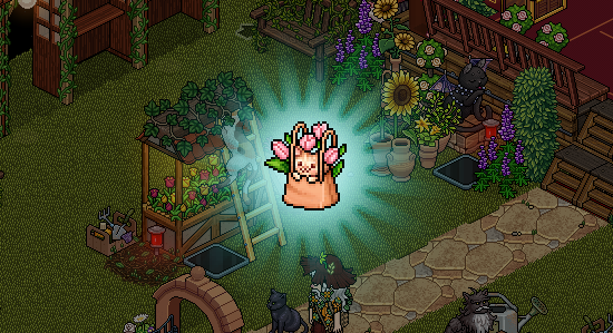 💐 A este GATITO le han encargado una misión relacionada con las flores, ya que es su mayor pasión... ¿Le ayudamos?

➡️ ¡Conoce toda la información de nuestro juego mensual de febrero que estará abierto sin interrupciones durante todo el mes! habbo-happy.net/hotel/lanzamie…
