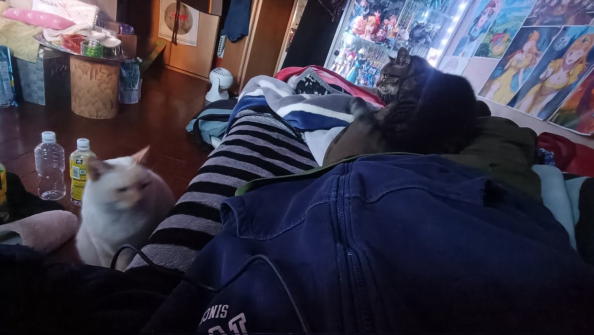 龍脈の精髄 水晶 静かなる光を宿すひとしずくの奇跡 売上一部保護猫活動に使用 龍脈の精髄 水晶 静かなる光を宿すひとしずくの奇跡 売上一部保護猫