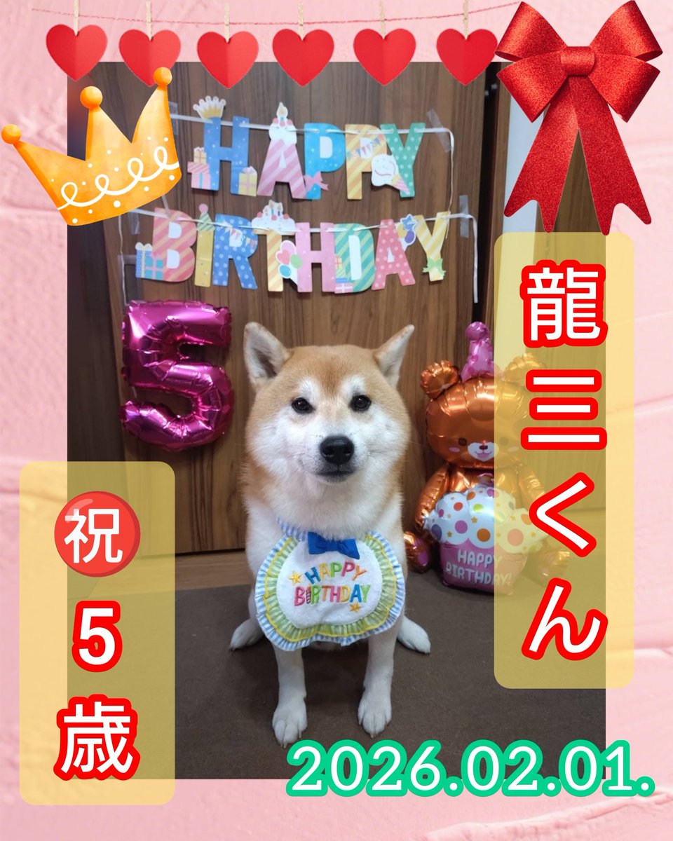 龍ちゃんズとよっちゃんみっちゃん (@ryuchan123bro) / Posts / X