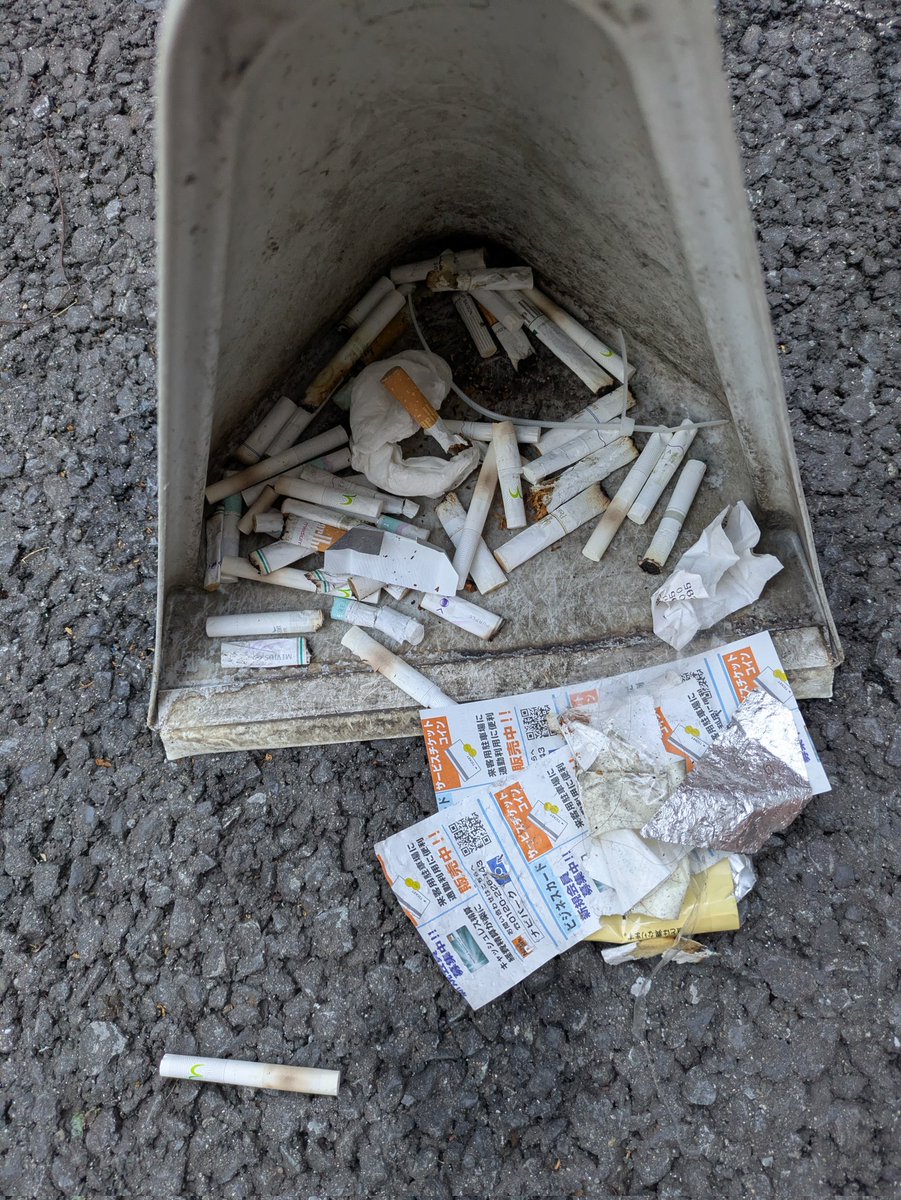 2/1(日)
今日も1日楽しみましょう✨
#継美隊 #ゴミ拾い #掃除 #清掃 #美化運動 #路上喫煙禁止 #ポイ捨て #東京都 #品川区 #五反田 #西五反田一丁目町会 #五反田商店街 #クリーン五反田