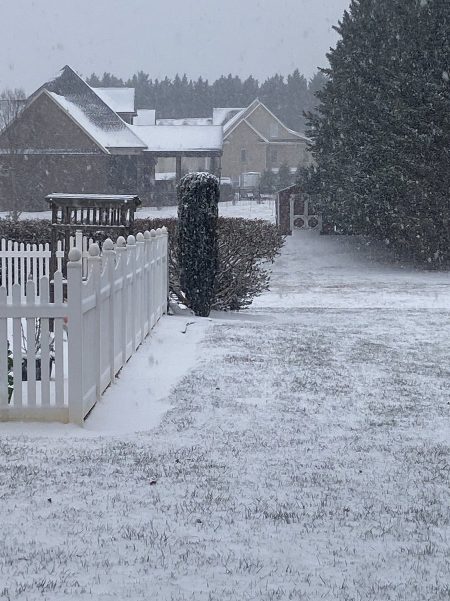 Michelle Baker tweet media