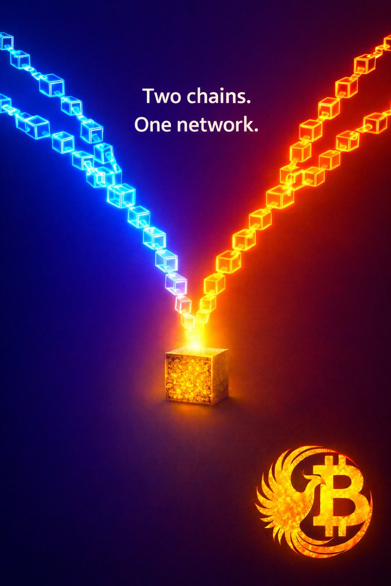 🧠 DID YOU KNOW?

In 2013, Bitcoin experienced a real blockchain split - and the network fixed itself.

Due to a software version mismatch, the Bitcoin network temporarily split into two valid chains, each accepting different blocks at the same time. For several hours, both