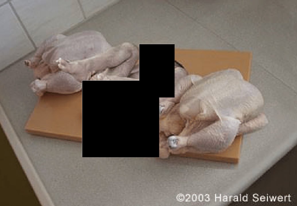 TabzLIVE's tweet photo. The circulating photo of chickens from the Epstein files is a very old meme, "Can you spot the Fake Turkey?" dating back to 2008, which Jeffrey Epstein saved on one of his devices.

It's unclear why the DOJ felt the need to redact a photoshopped meme. https://t.co/fFdH6upocS