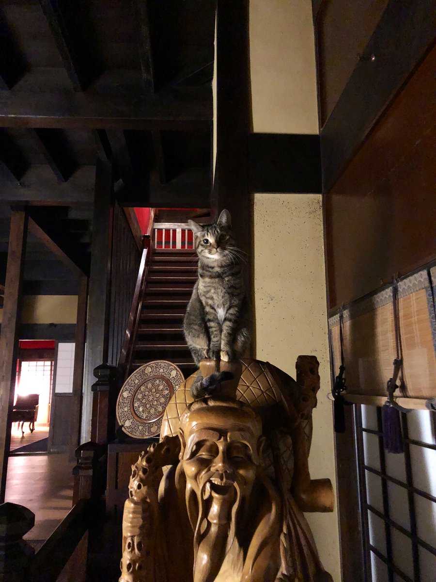 汐華初流乃 (@shiobanaharuno7) / Posts / X