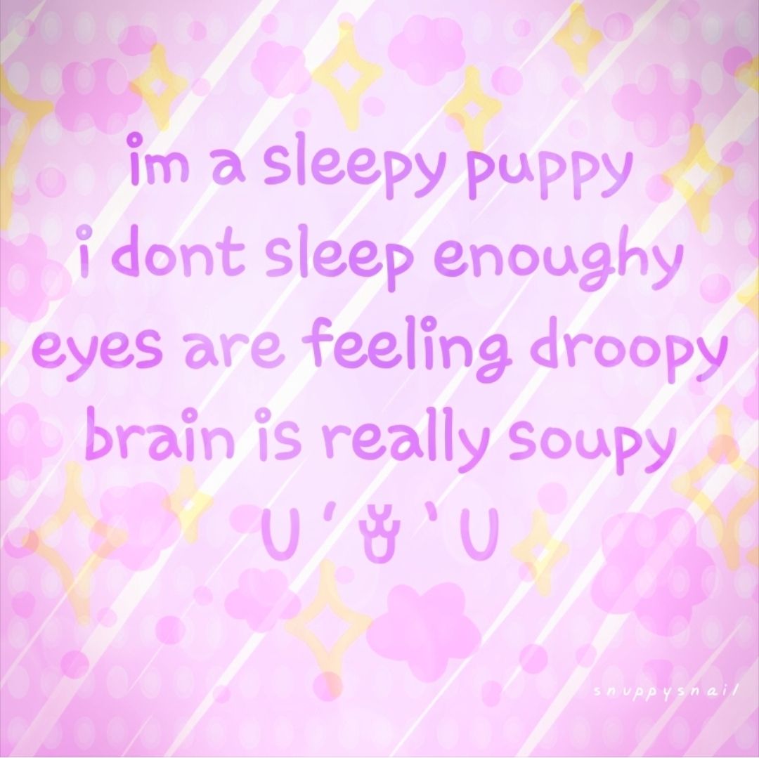 ૮•ᴥ•ა✧snuppy✧͟๑͟ő tweet media