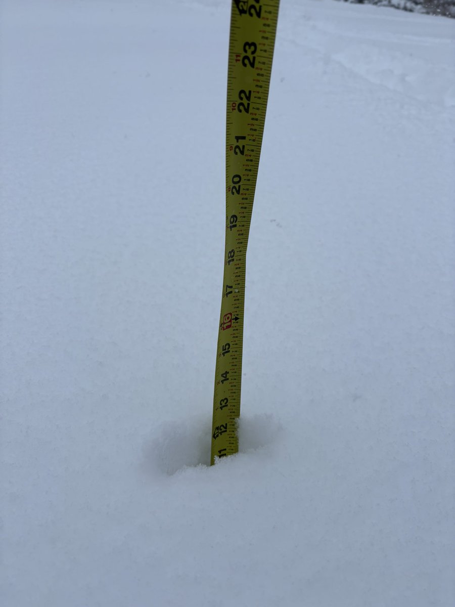 Preston McGhee tweet media