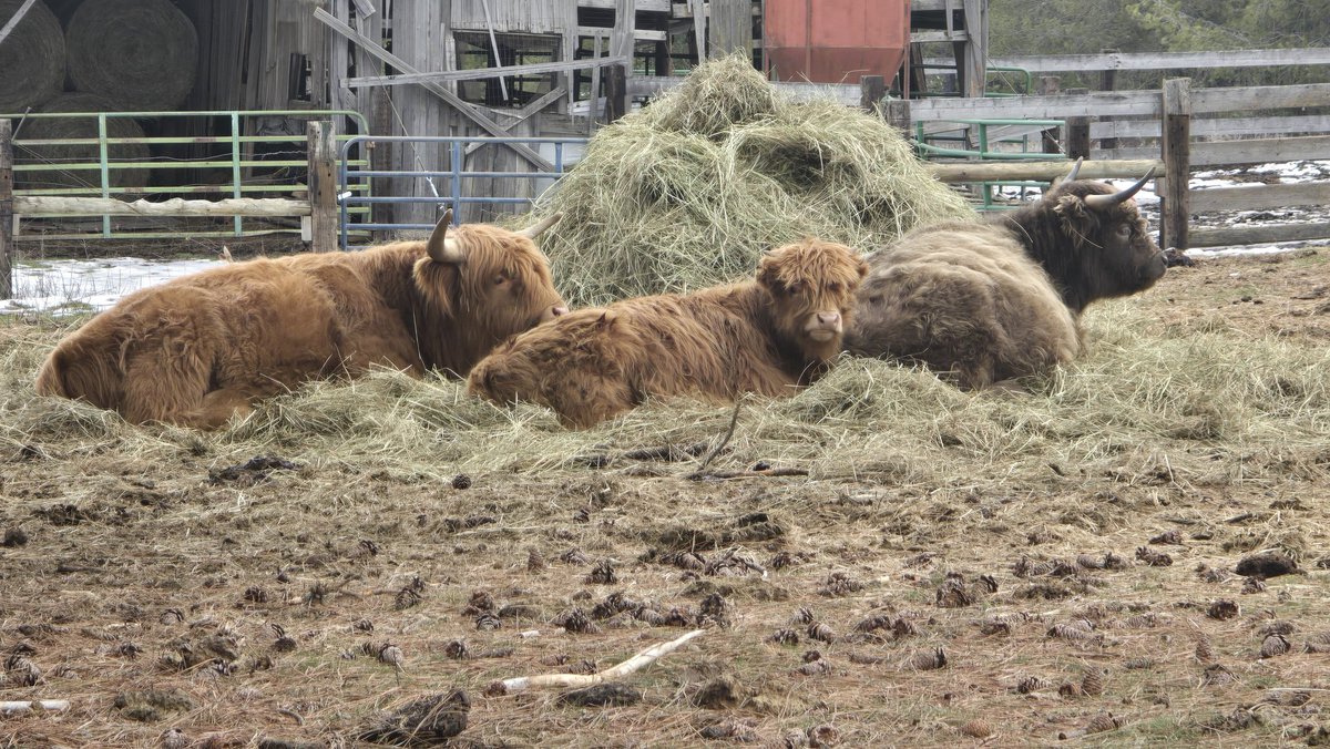 Larry M Leake (@larrymleake1) on Twitter photo 