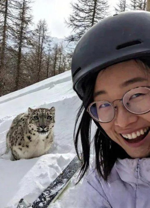 I mean it was a pretty cool pic and a way to show what you used to look like before having your face eaten by a leopard.