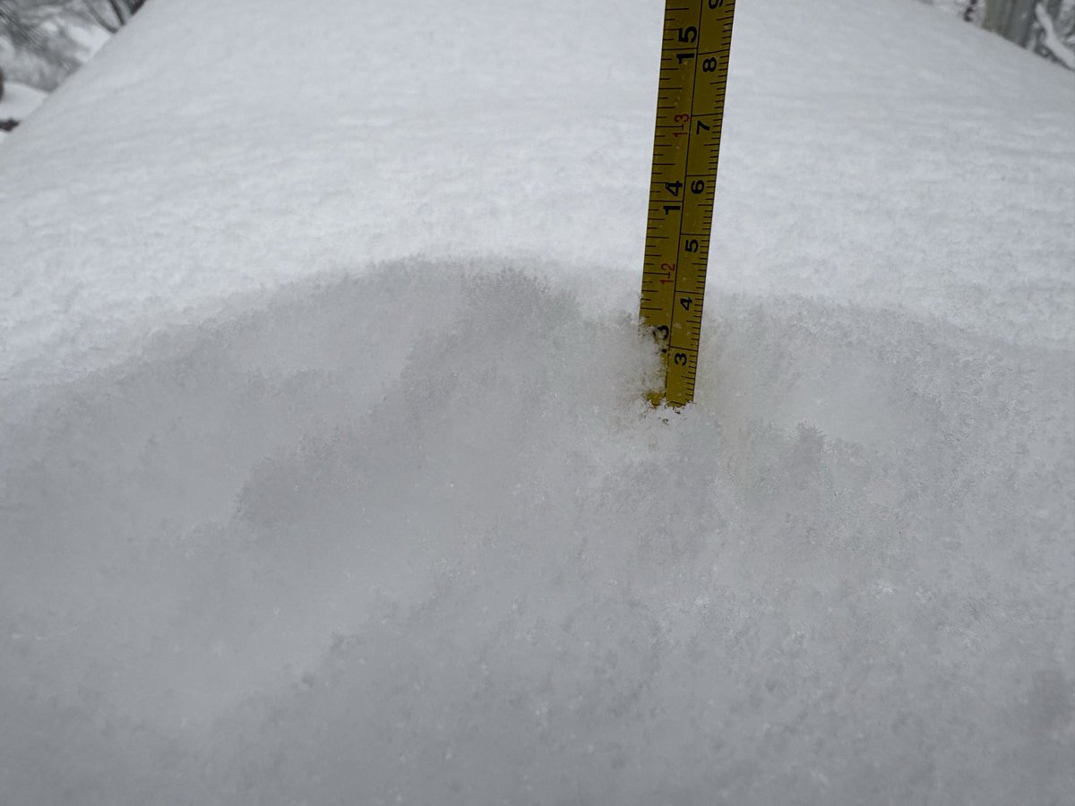 Caleb Webster tweet media