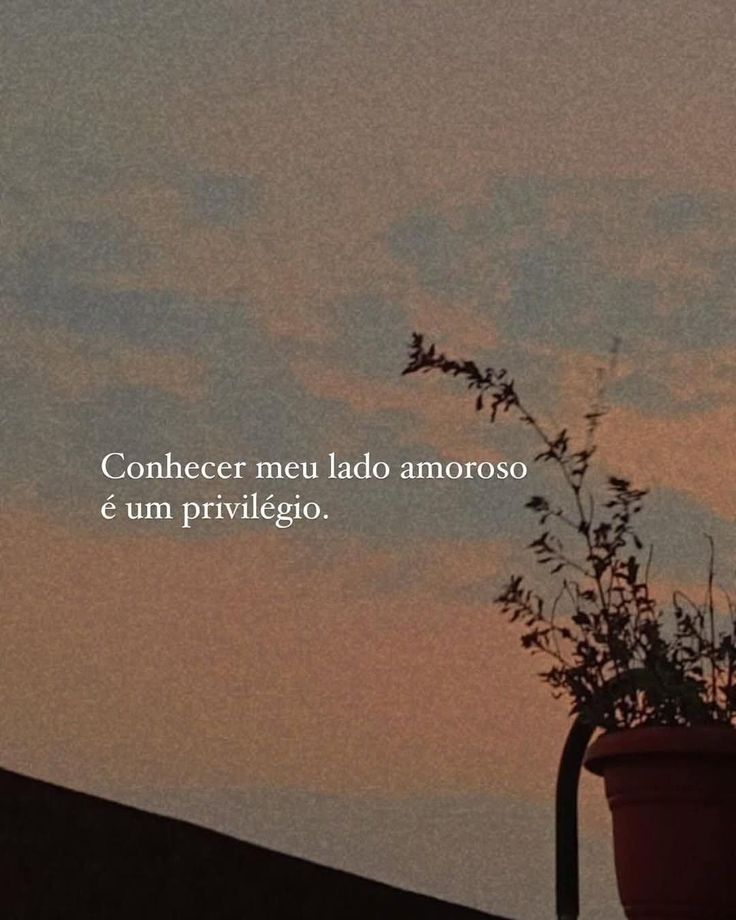 sobreteucaos's tweet photo. https://t.co/yBZ9SZV2UR