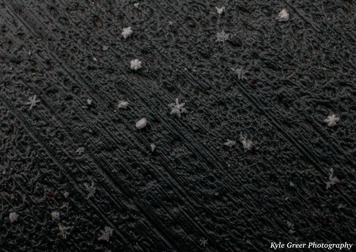 liamswx's tweet photo. Check out these cool zoomed-in shots of the snowflakes falling in Conway, SC! Kyle Greer took these with his Canon T7 24mm lens. Can’t wait for the snow to get even heavier and more widespread! ❄️❄️❄️ #scwx #snow #snOMG #snowflakes #conwaysc https://t.co/MEDY19ngJ3