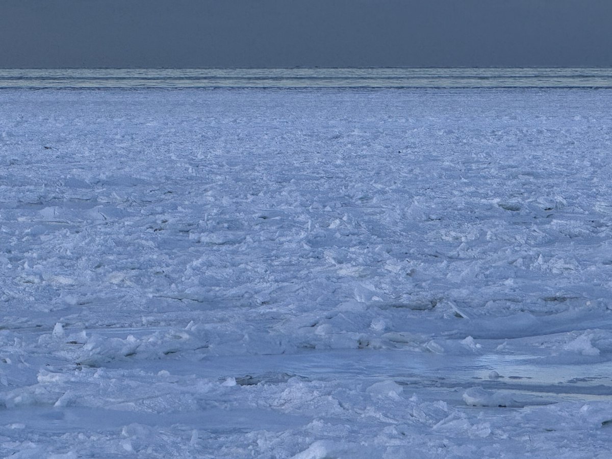 mmuhlfelder's tweet image. It’s a cold #calmocean on #capecodbay