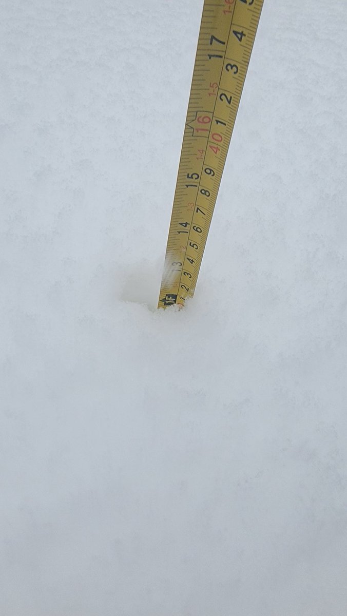 David Mathews tweet media