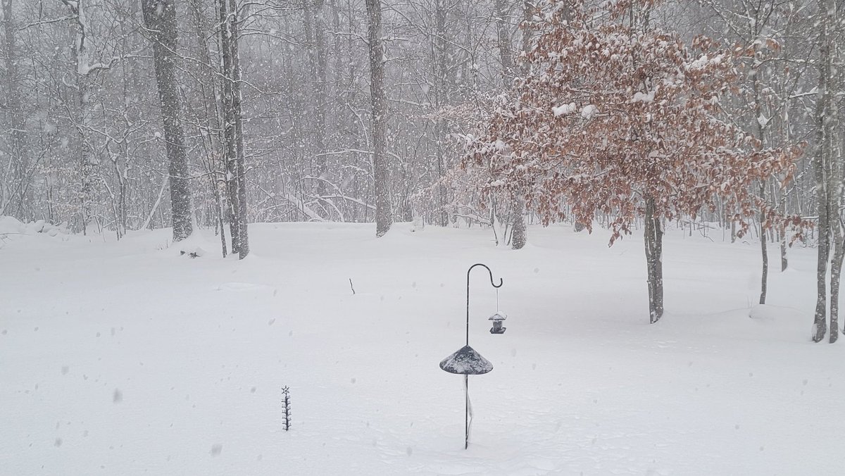 David Mathews tweet media