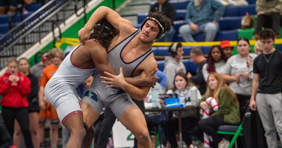 MDJ Online tweet media