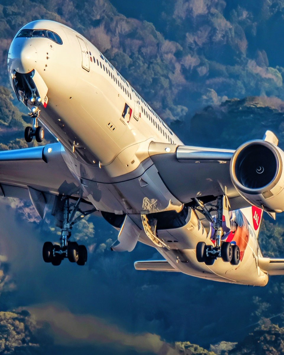 Douglas (@douglasdc1040) / Posts / X