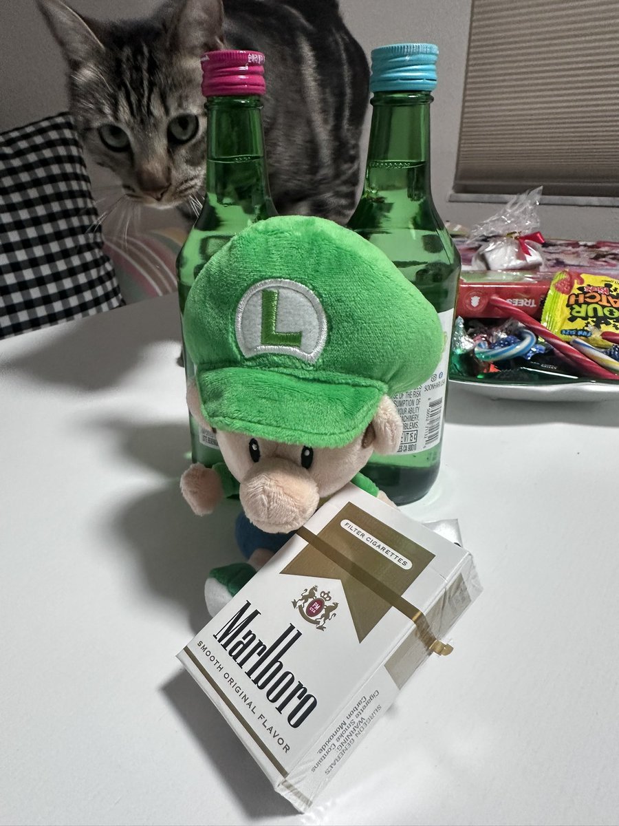 glitc5ed's tweet photo. BABY LUIGI NOOOOOOO https://t.co/0Vikqa578d