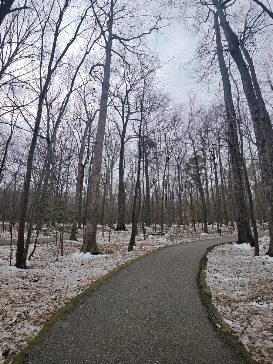 Tay 🪼 tweet media