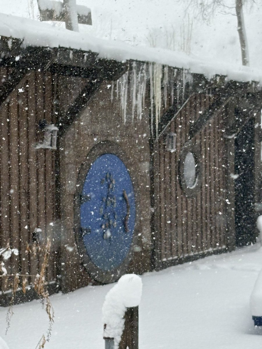 TrentCherry's tweet photo. Lots of snow @CherryTreesort today! https://t.co/x1f5rThZAc