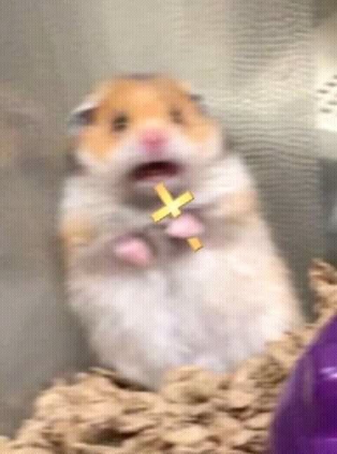 Me fui al mar y me persiguen las embarazadas chicos tengo miedo