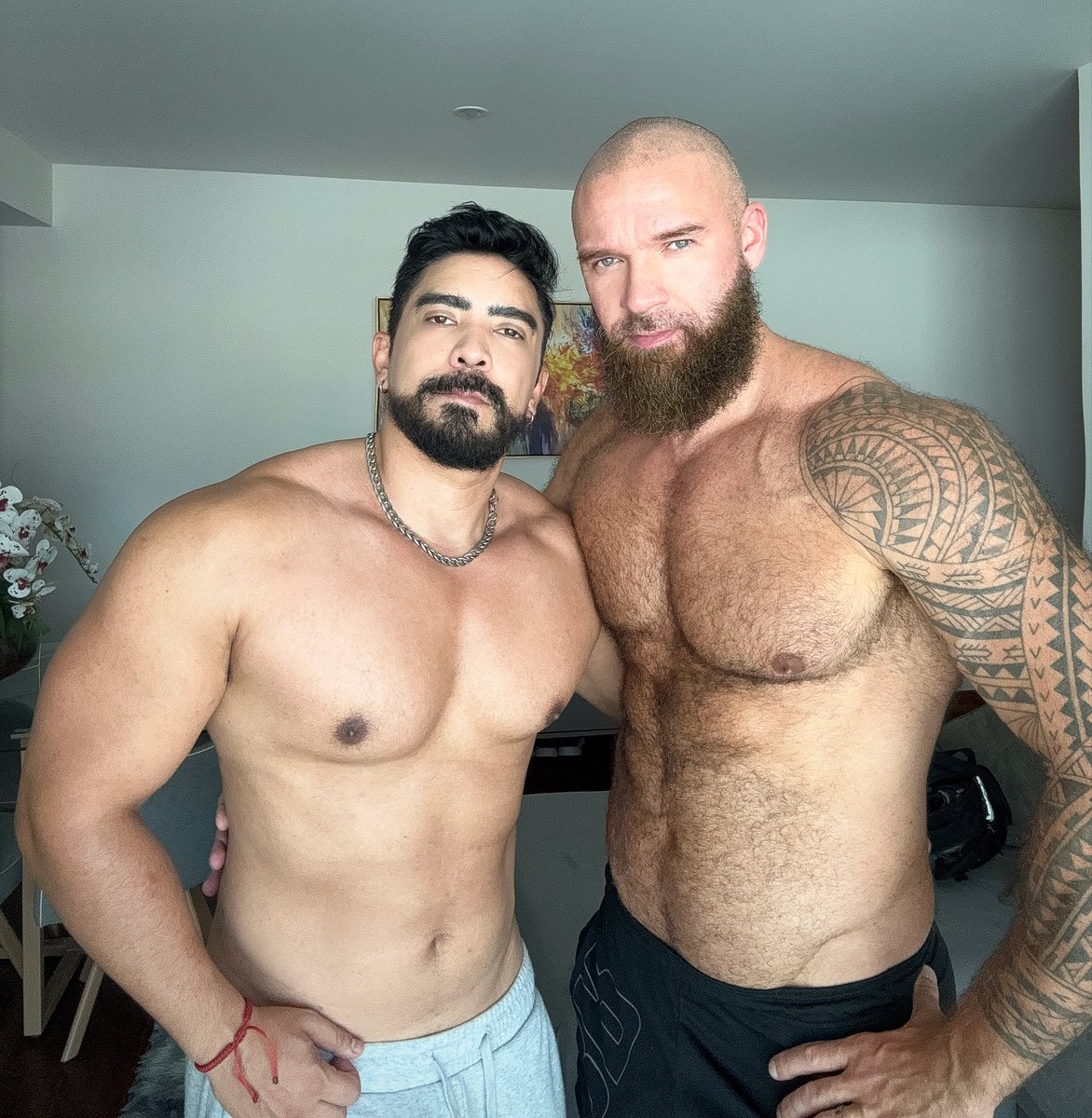 GORILA KING 👑🦍🌶️60% tweet media