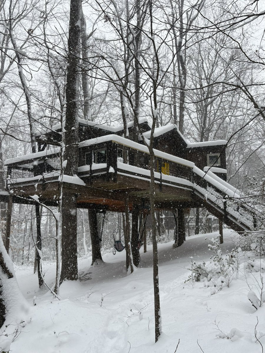 CherryTreesort's tweet photo. Lots of snow @CherryTreesort today! https://t.co/lHXaxsje7l