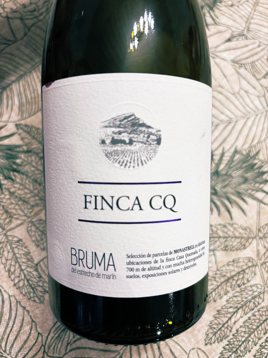 xilvitta's tweet photo. Vino de la noche 🍷 https://t.co/Tq06Gd5Vtw