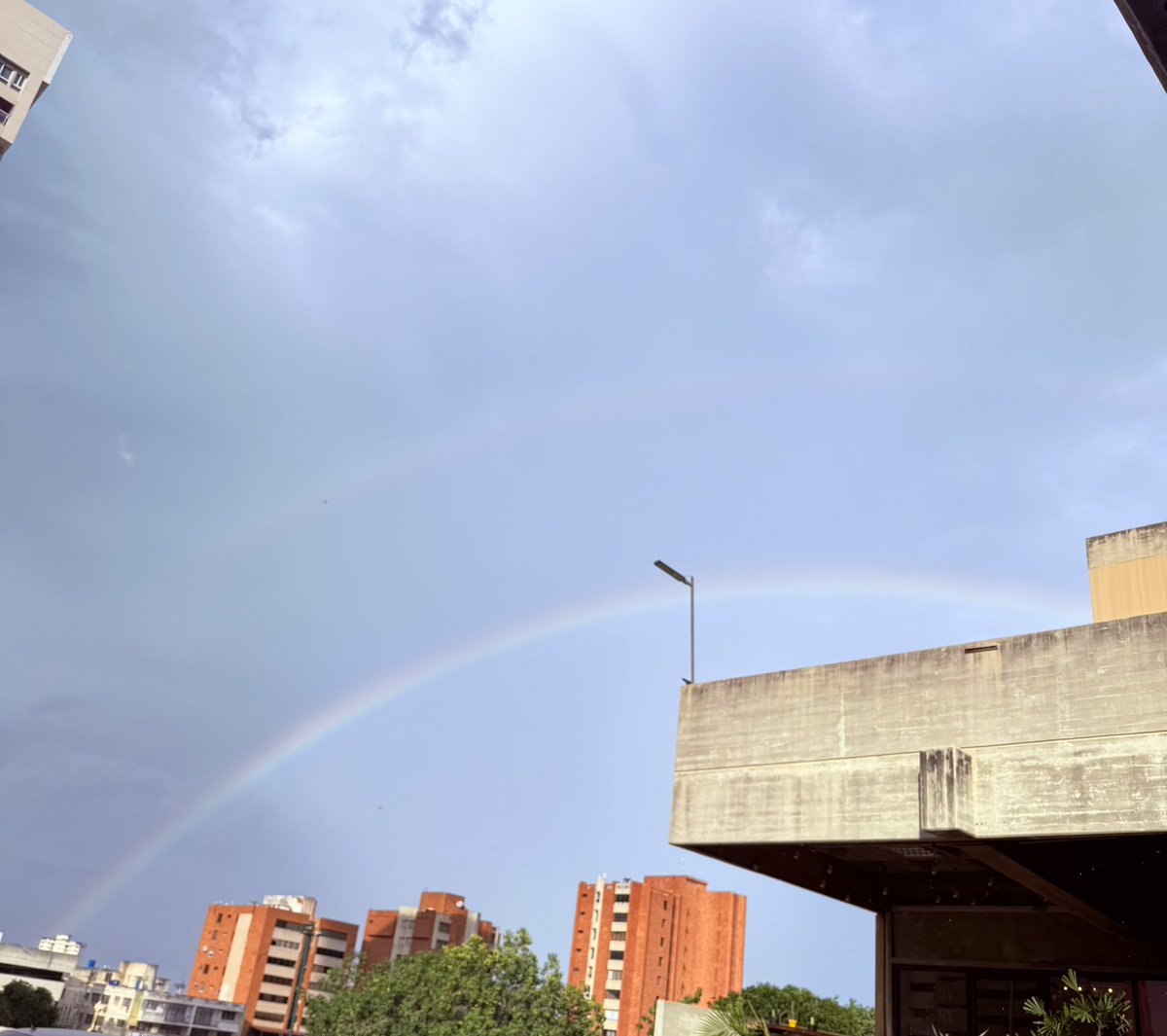 Ramón Vera O RH+ tweet media