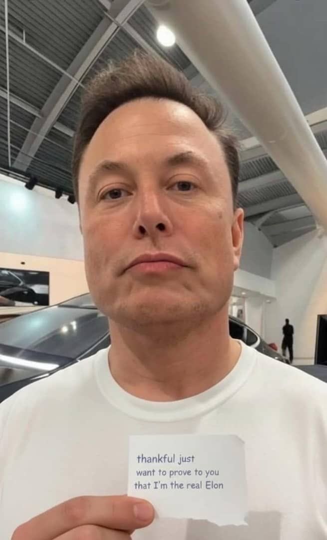 Elon musk tweet media