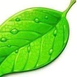 ~
﴿ وَاللَّهُ يَقْبِضُ وَيَبْسُطُ ﴾ " أزمات الحياة لا تدوم على حالها,فإذا ضاقت اتَّسعت وإذا تعسَّرت تيسَّرت وإذا اشتدَّت فُرجت, فالقبض والبسط بيد الله سُبحانه,وأمره كلمح البصر, فاطمئن واعلم بأنَّ المُنتصرين هم,من اتخذوا من الثغرات سُلَّماً ومن التمزُّق تميُّزاً ومن الوجع قوة“