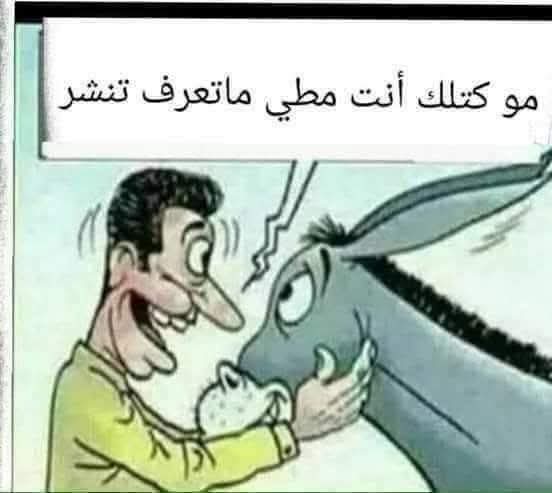 fhfbghh's tweet photo. @nour_3026 https://t.co/URH5bCSFAn