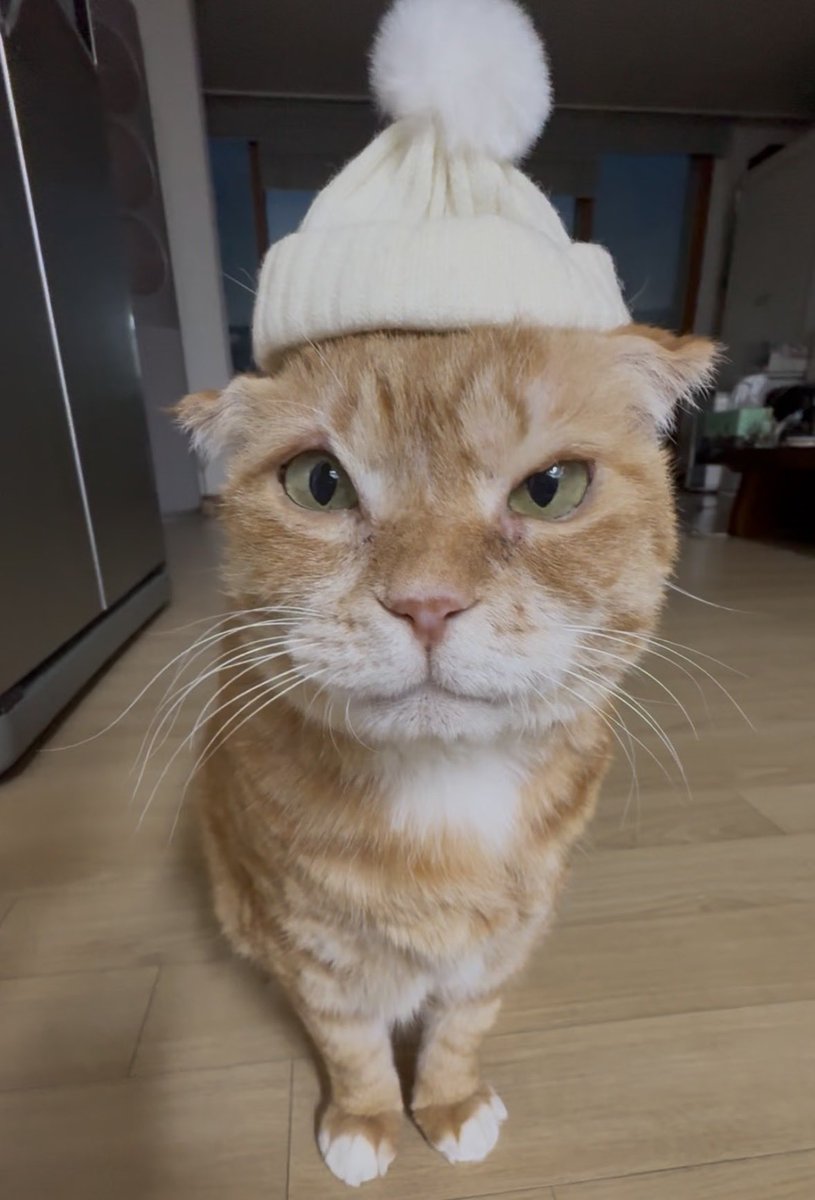 kimnaembee's tweet image. 춥다..여며라.. 
             By. 겨울남자 김냄비