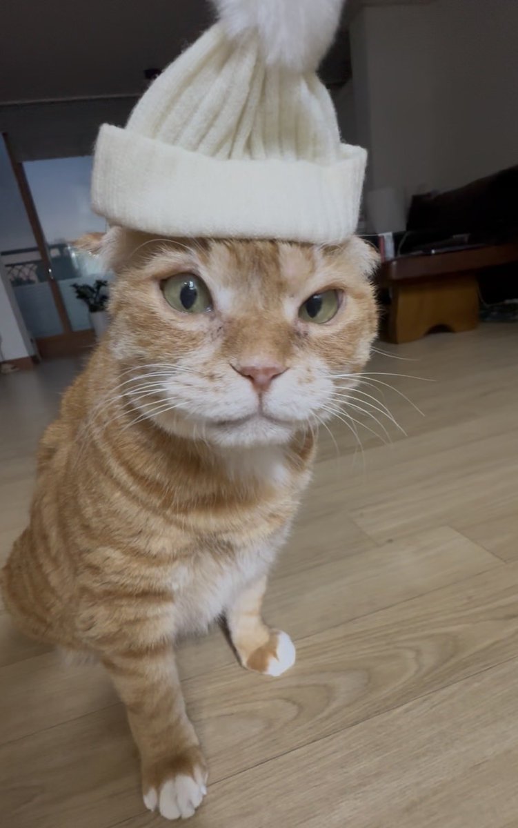 kimnaembee's tweet image. 춥다..여며라.. 
             By. 겨울남자 김냄비