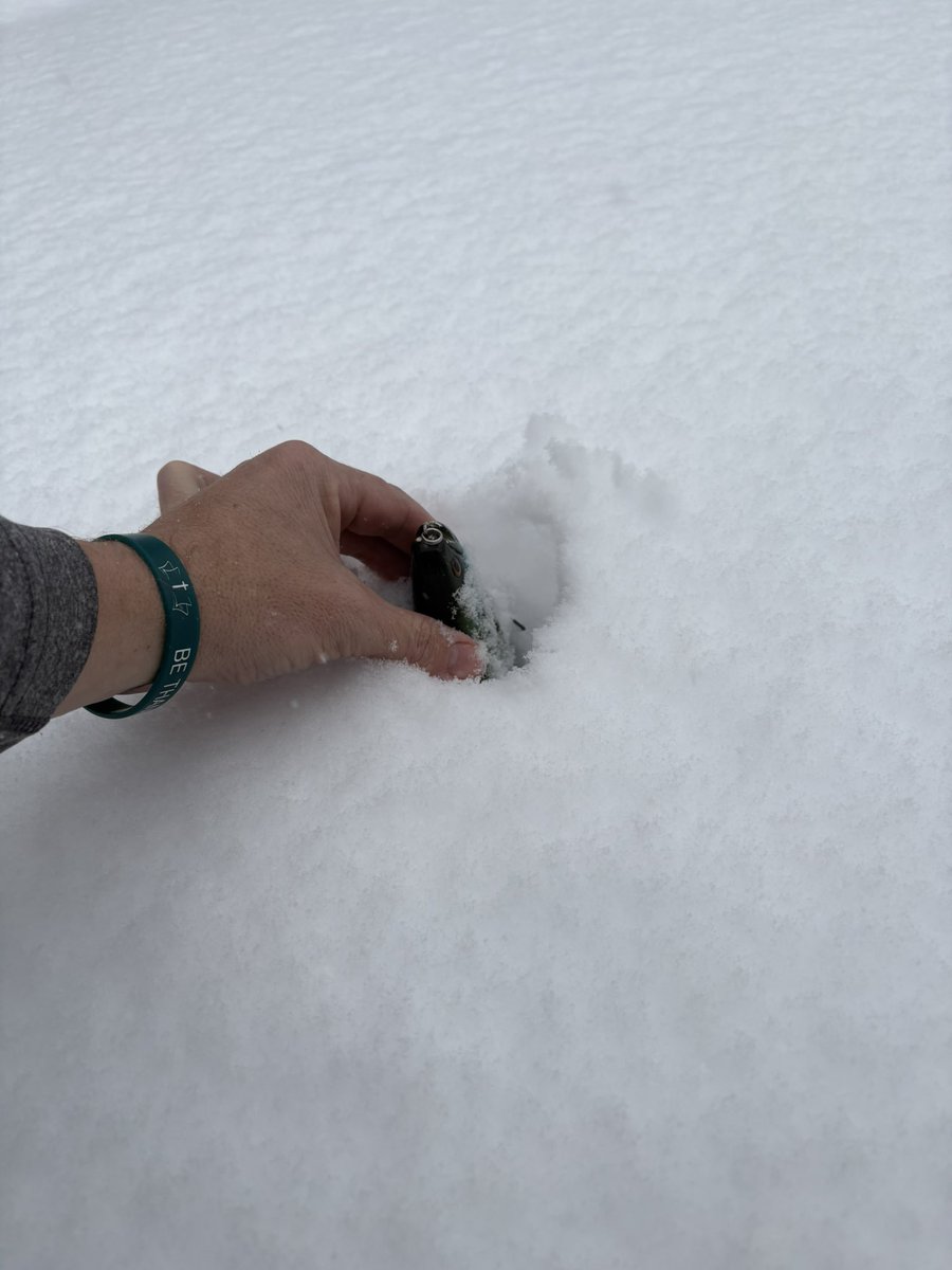 CountryNerd24 ☦️🐝 tweet media