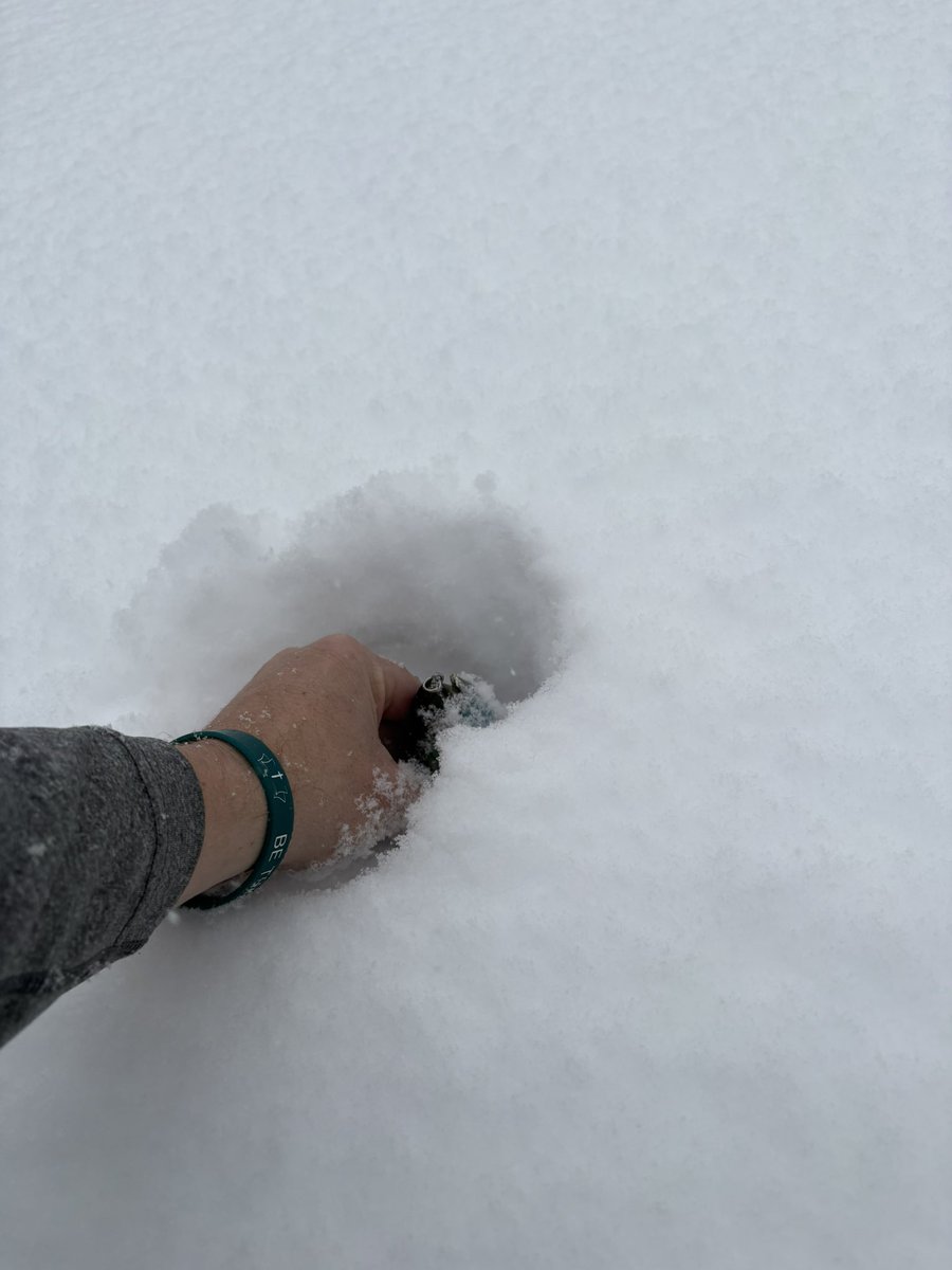 CountryNerd24 ☦️🐝 tweet media