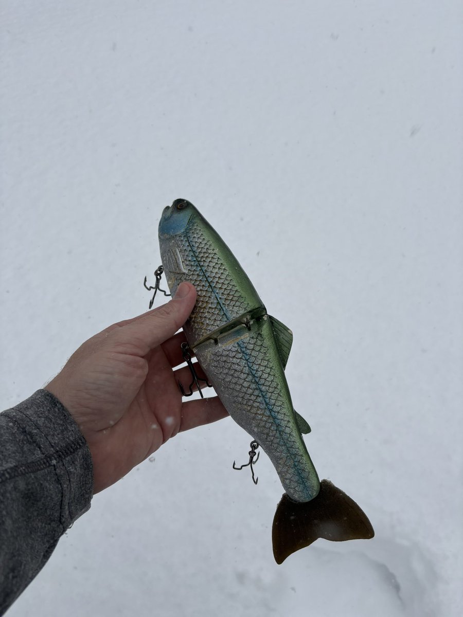 CountryNerd24 ☦️🐝 tweet media