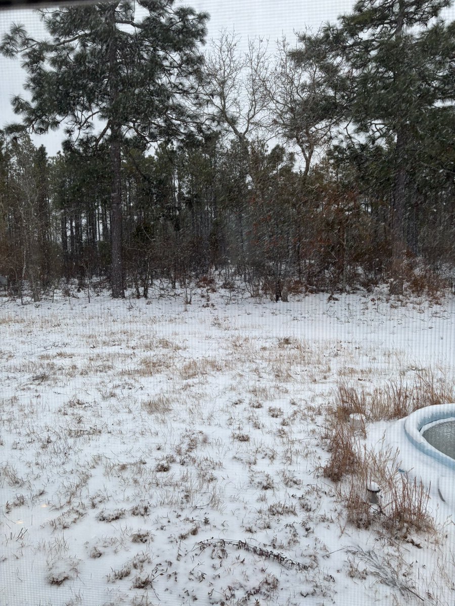 mrbad_example_'s tweet image. Listening to Wolves in the Throne Room while I make dinner cause yeah