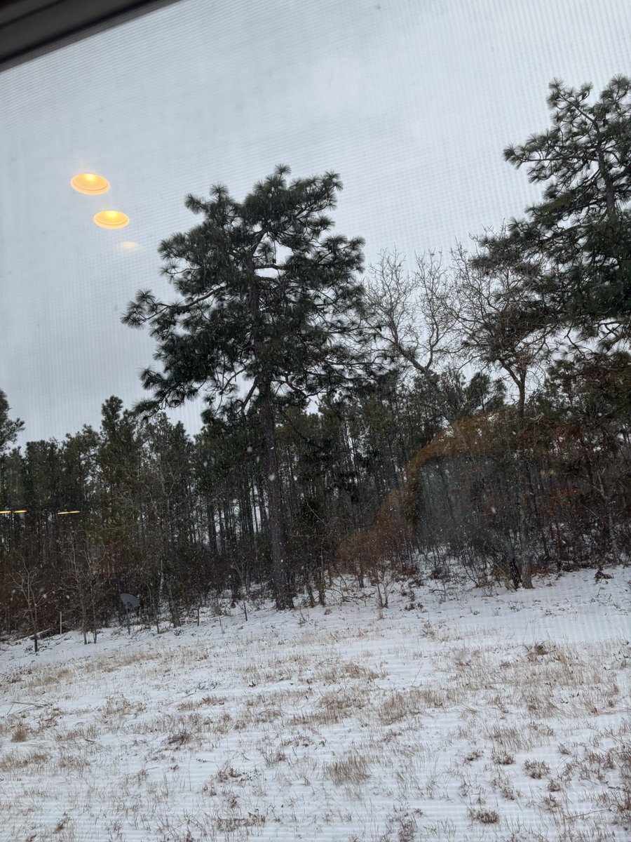 mrbad_example_'s tweet image. Listening to Wolves in the Throne Room while I make dinner cause yeah