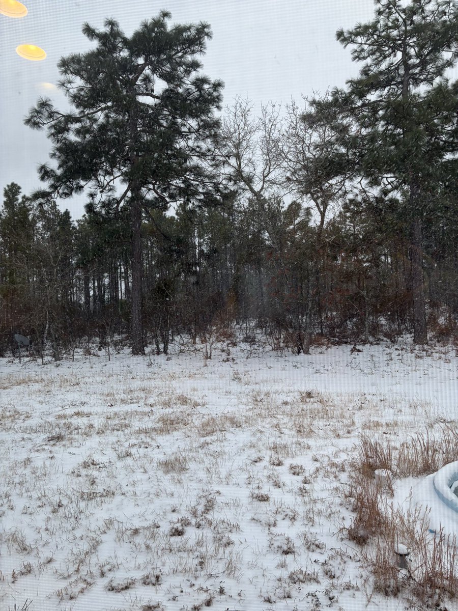 mrbad_example_'s tweet image. Listening to Wolves in the Throne Room while I make dinner cause yeah