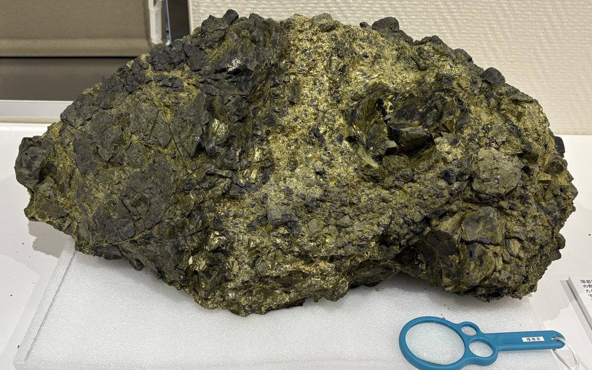 田村芳彦 tweet media