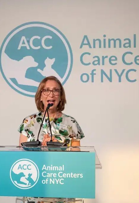 Wynjym's tweet image. These are a couple of the #reporters” who author fake news about @NYCACC THEY NEVER #INVESTIGATE FOR THE #REAL STORY THE #TRUTH 
MAYBE FOLLOW THE #MONEY💰⁉️⁉️⁉️

@LiamStack @nytimes 
@OliviaBensimon @CityLimitsNews
These are their editors:  
@MarcLacey
@CarolynRyan
@AGSNYT