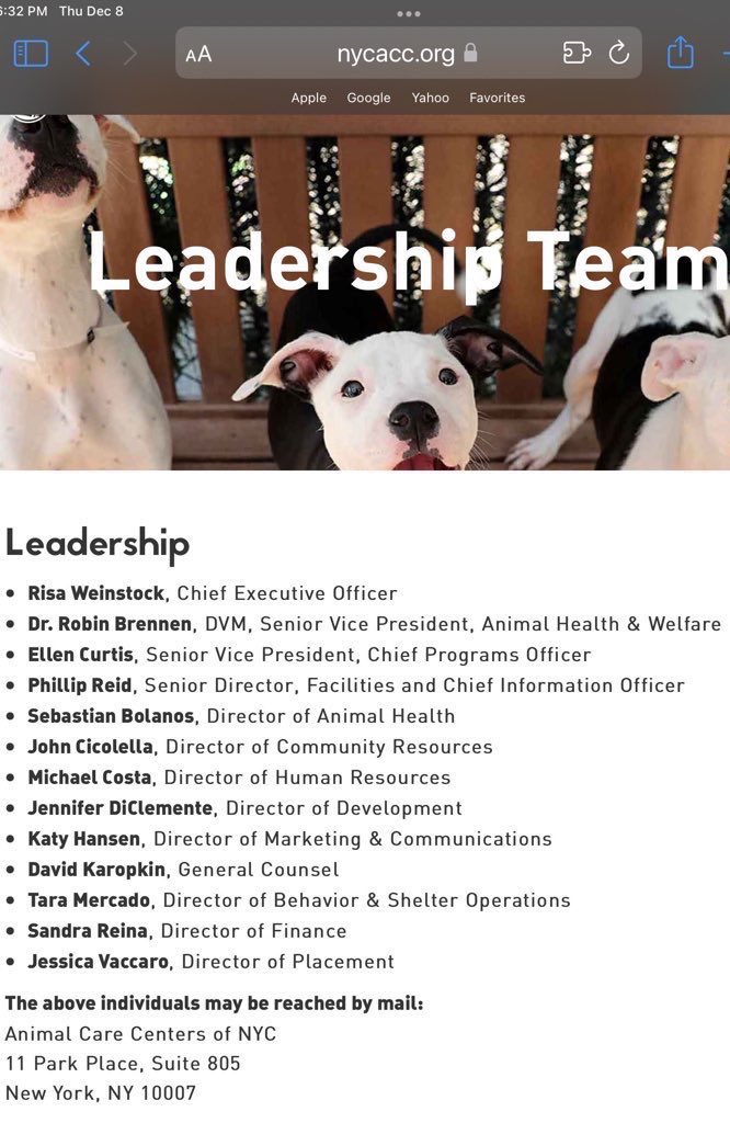 Wynjym's tweet image. These are a couple of the #reporters” who author fake news about @NYCACC THEY NEVER #INVESTIGATE FOR THE #REAL STORY THE #TRUTH 
MAYBE FOLLOW THE #MONEY💰⁉️⁉️⁉️

@LiamStack @nytimes 
@OliviaBensimon @CityLimitsNews
These are their editors:  
@MarcLacey
@CarolynRyan
@AGSNYT