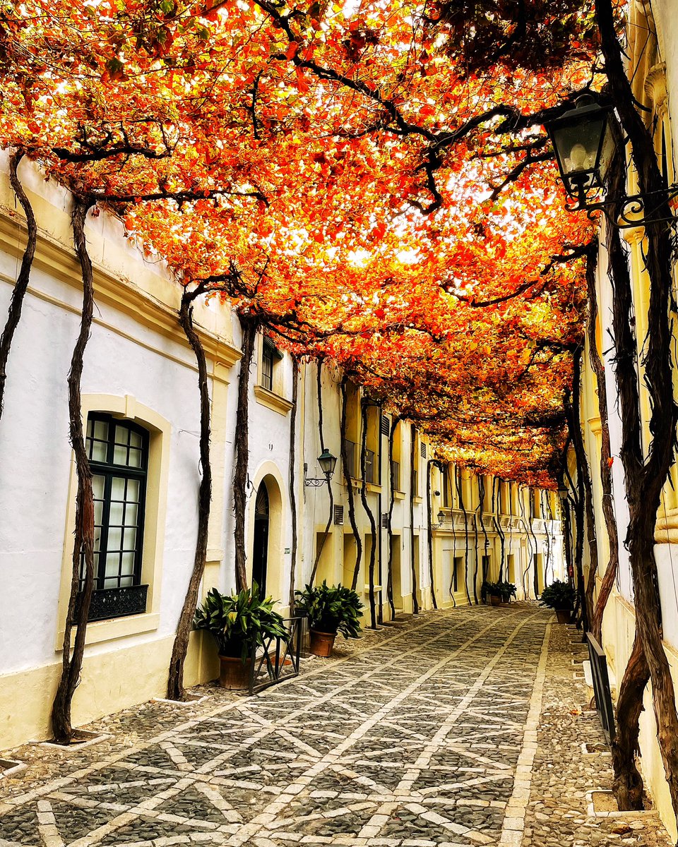 Callejón de los Ciegos (calle Ciegos), Jerez de la Frontera, Cádiz.