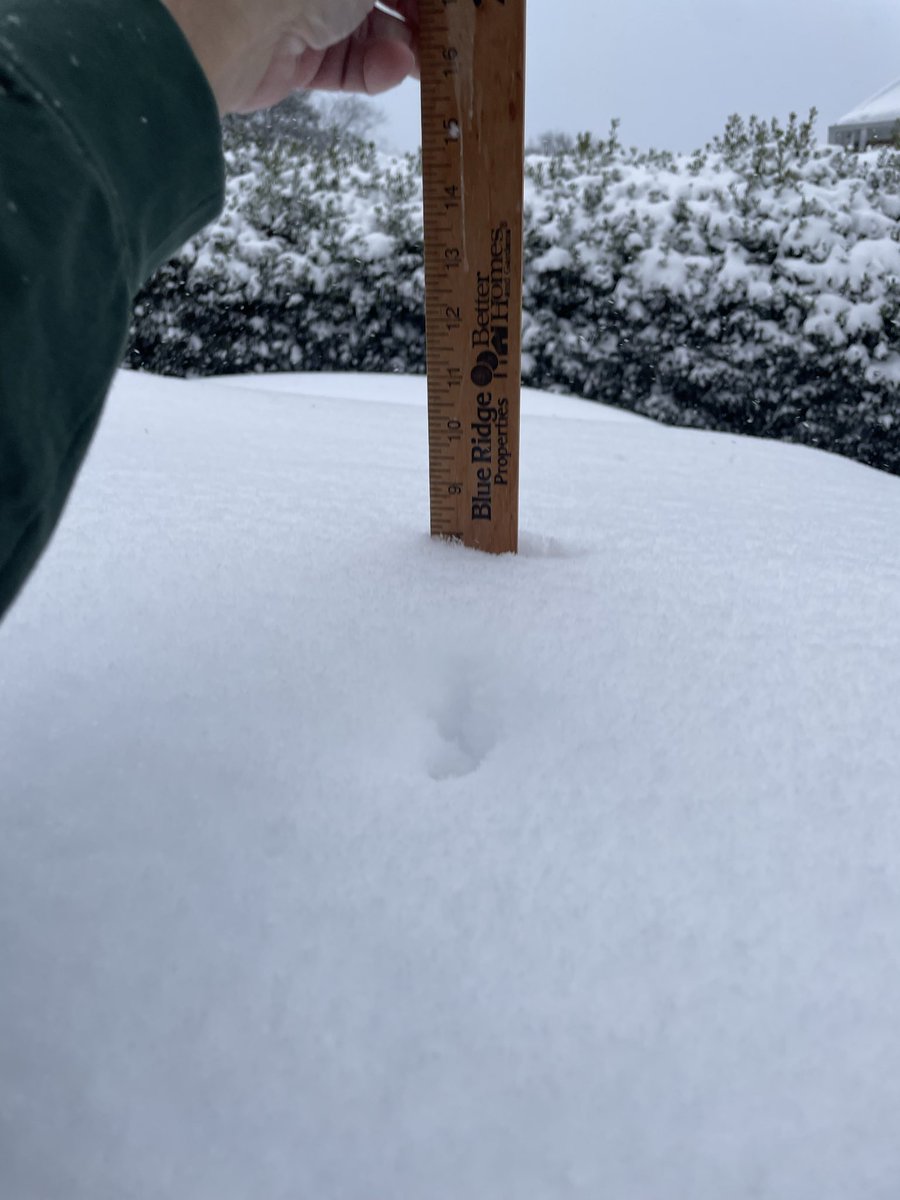 8 inches of snow and it’s still snowing