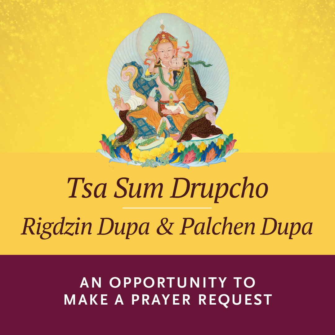 Dzigar Kongtrul tweet media