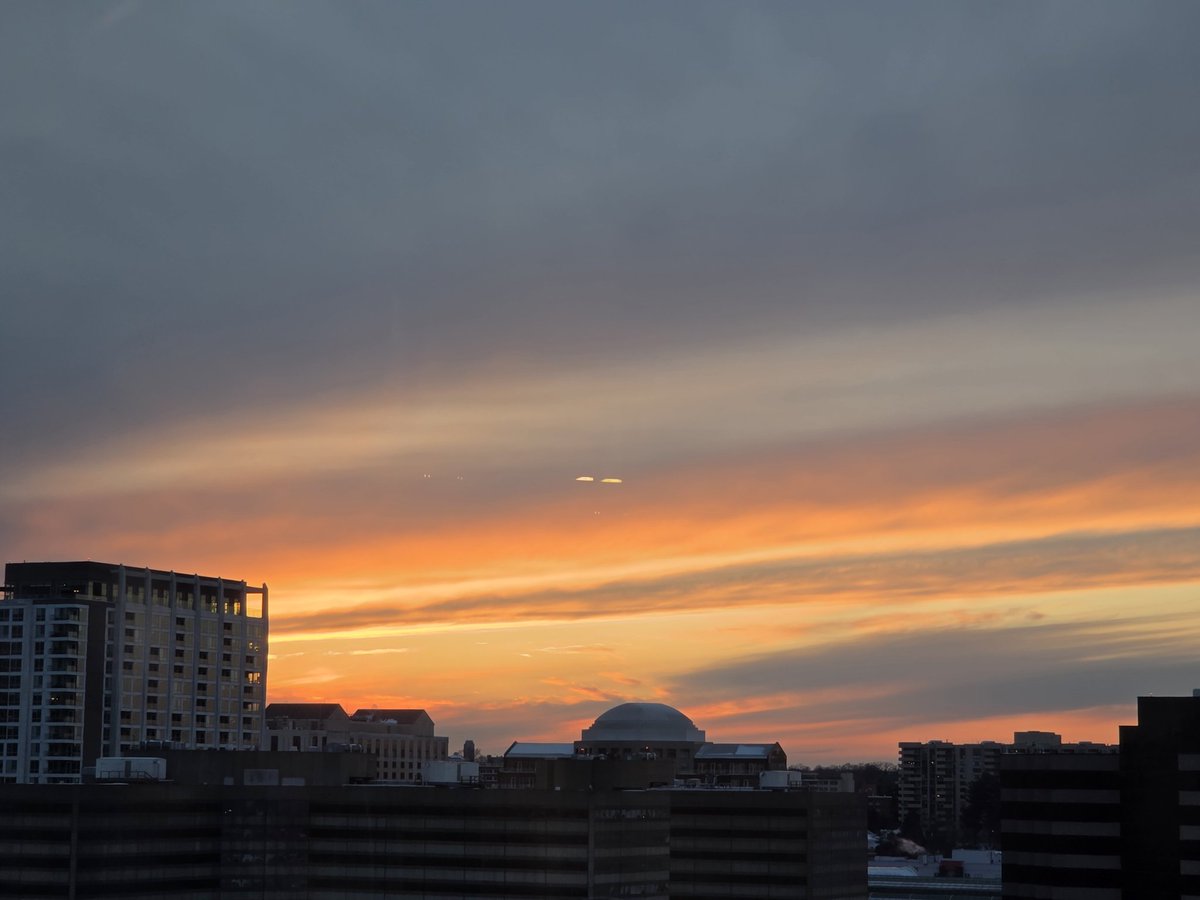 Hillary Howard tweet media