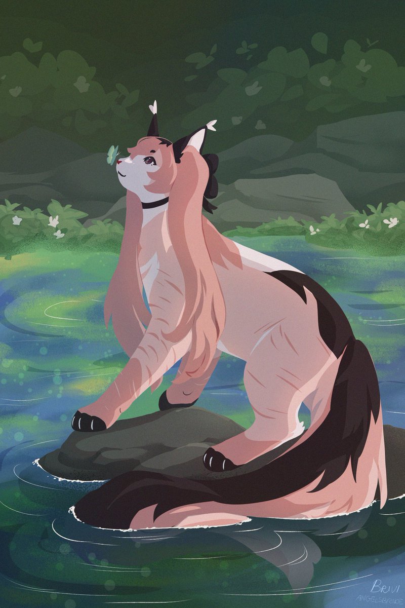 Brivi 🪽 tweet media